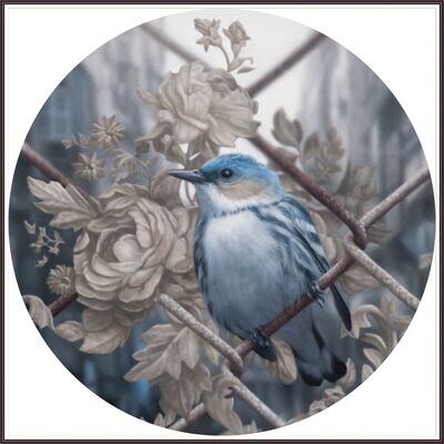Bluebird &amp; Rose