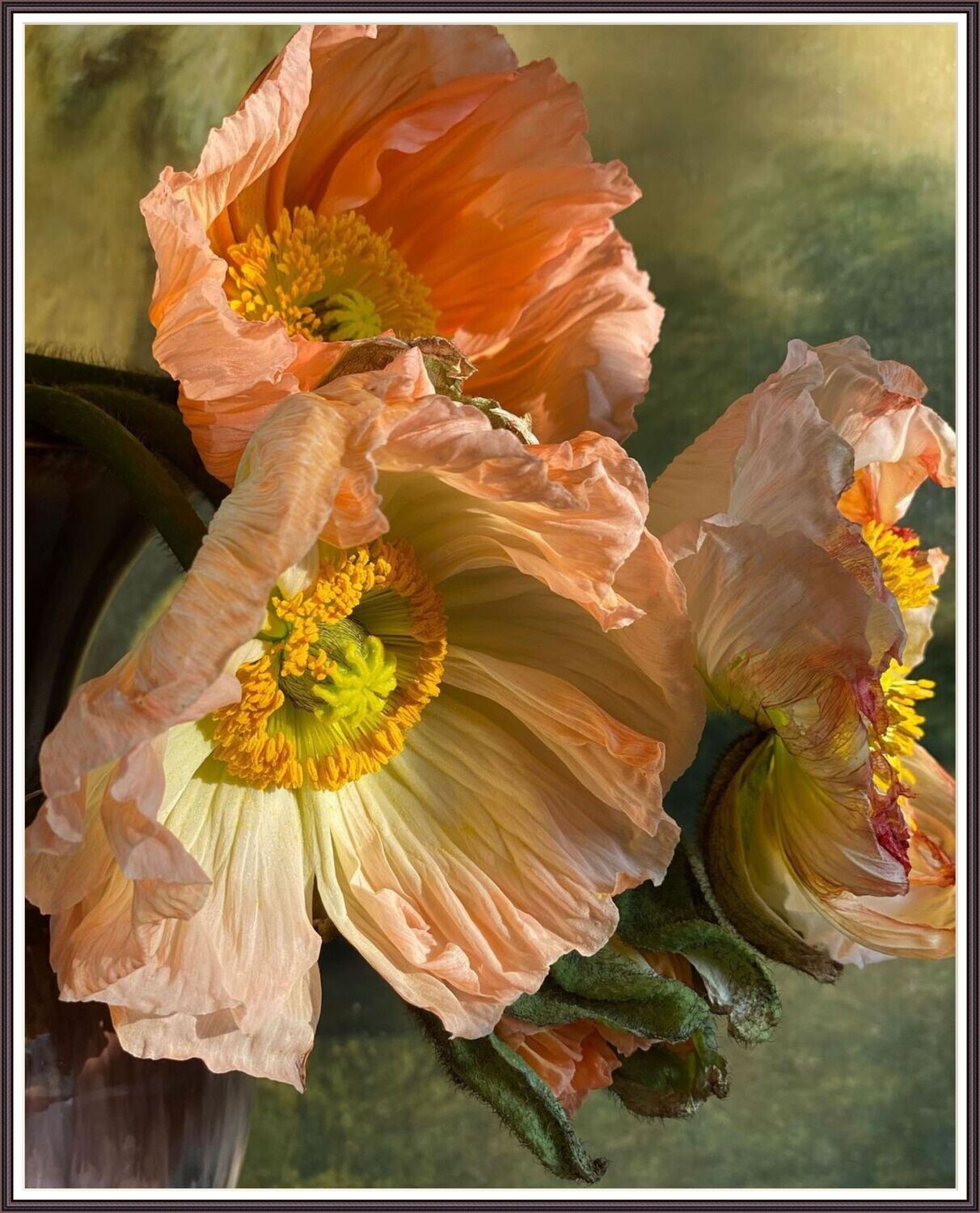 Shades of Orange