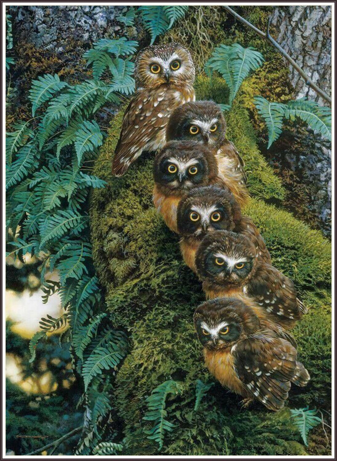 Family Tree