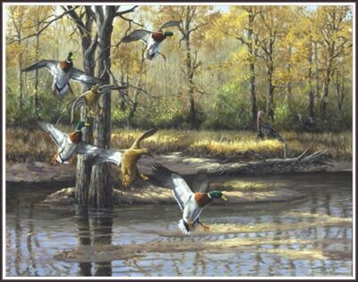 Hunters Dream