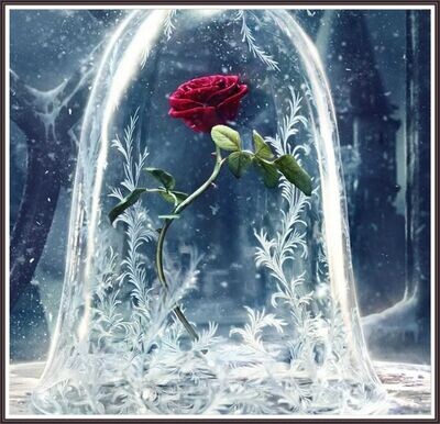 The Beast’s Enchanted Rose