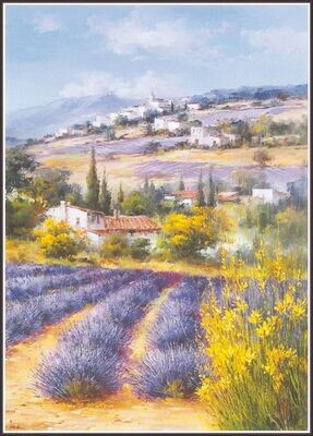 Fields of lavender