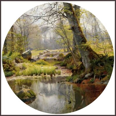 Woodland Pond