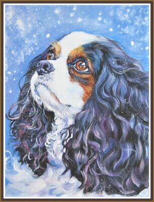 Cavalier King Charles Spaniel