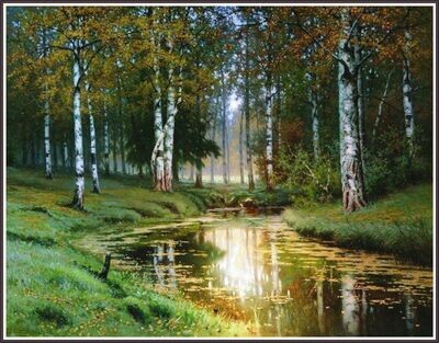 In The Birch Tree Forest