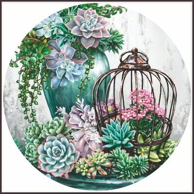 Succulent Garden