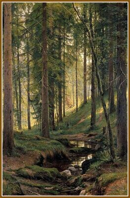 Wander the wood