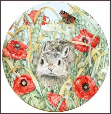 Peter in the Poppies