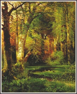Forest scene