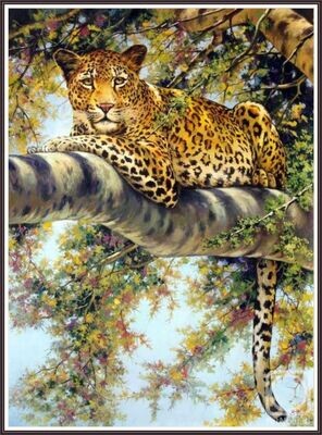 Leopard in repose