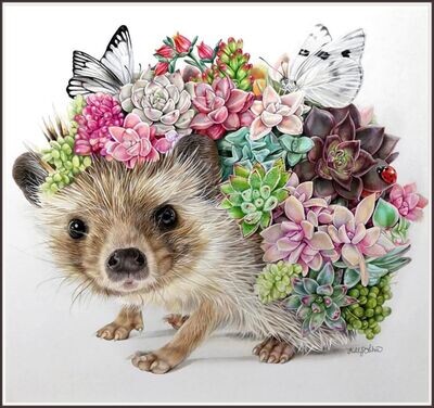 Flower&#39;s Hedgehog