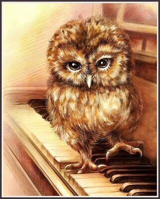 Piano Owl
