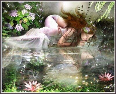 Reflection