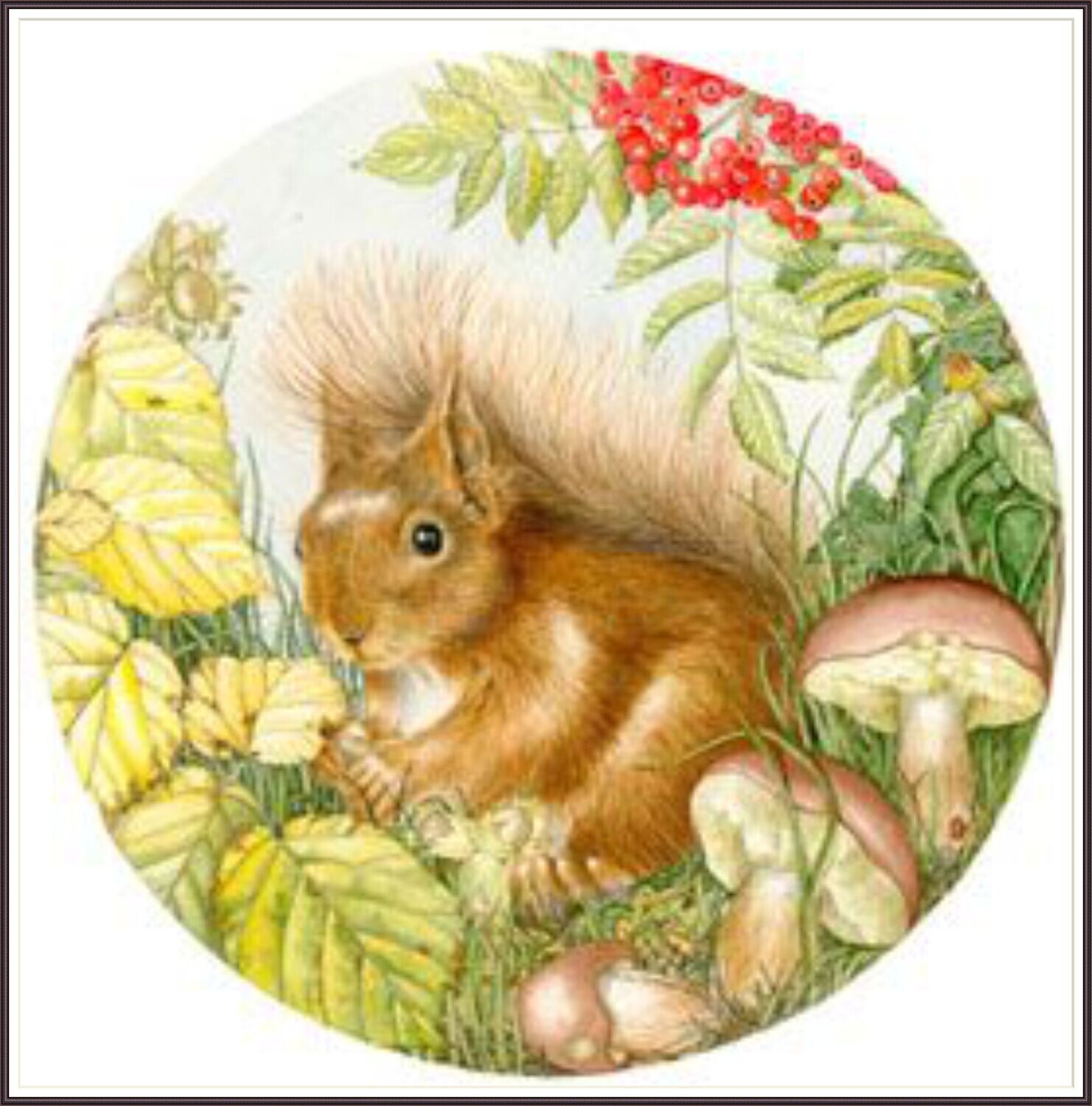Playful Squirrel