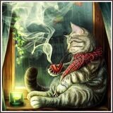 Cat Smoking Cigar