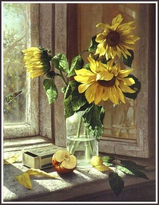 Sunny Morning