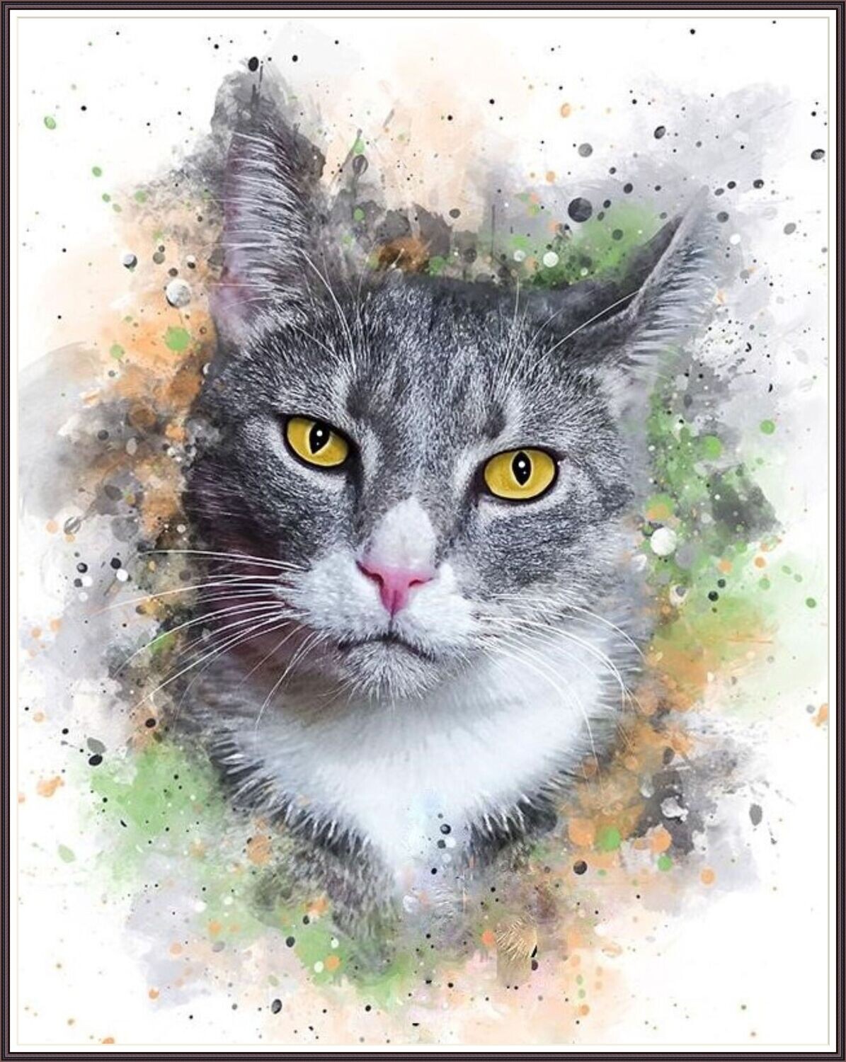 Tabby Cat