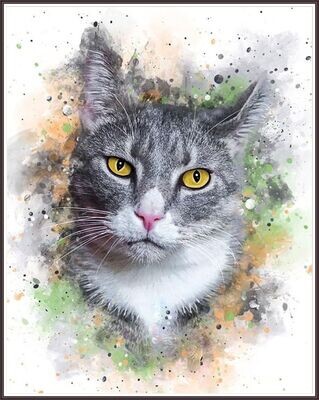 Tabby Cat