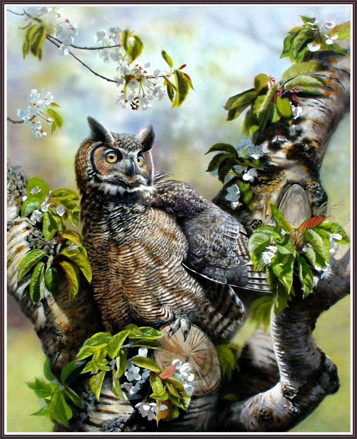 Owls - Silent Watch
