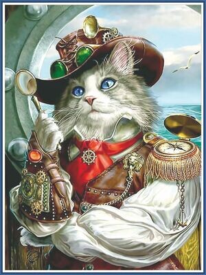 Pirate Cat