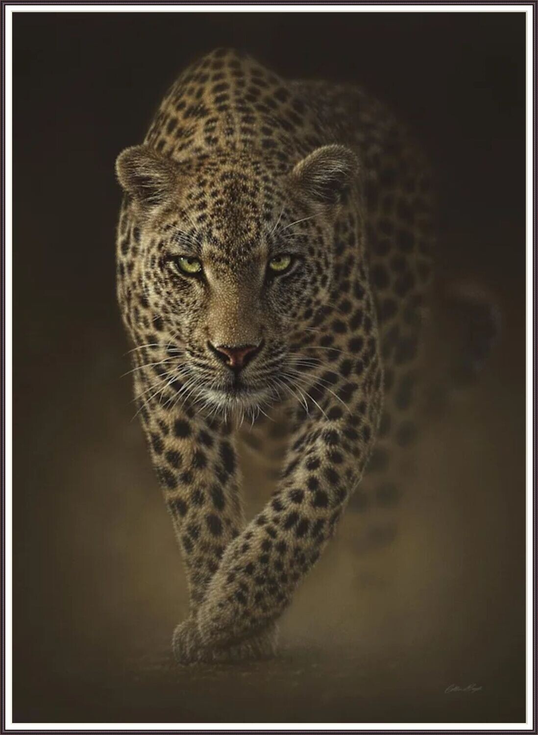 Hunting Leopard