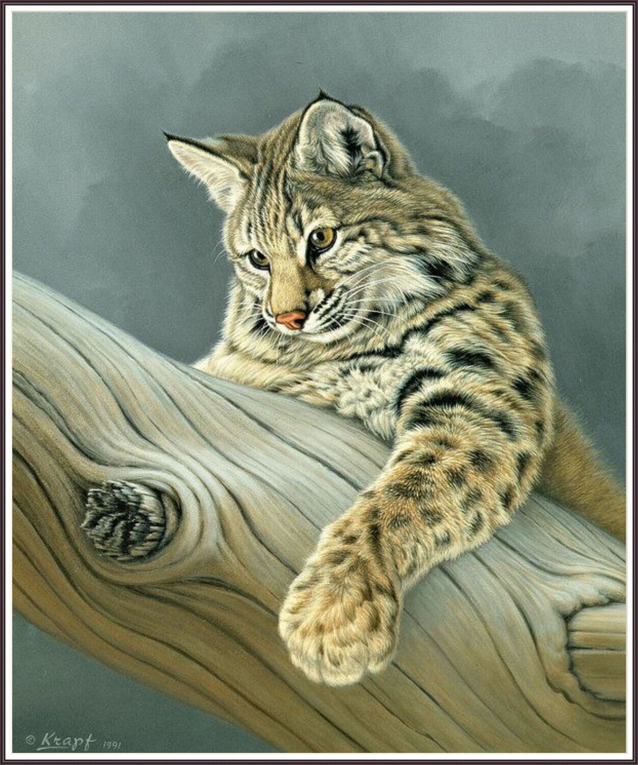 Curiosity