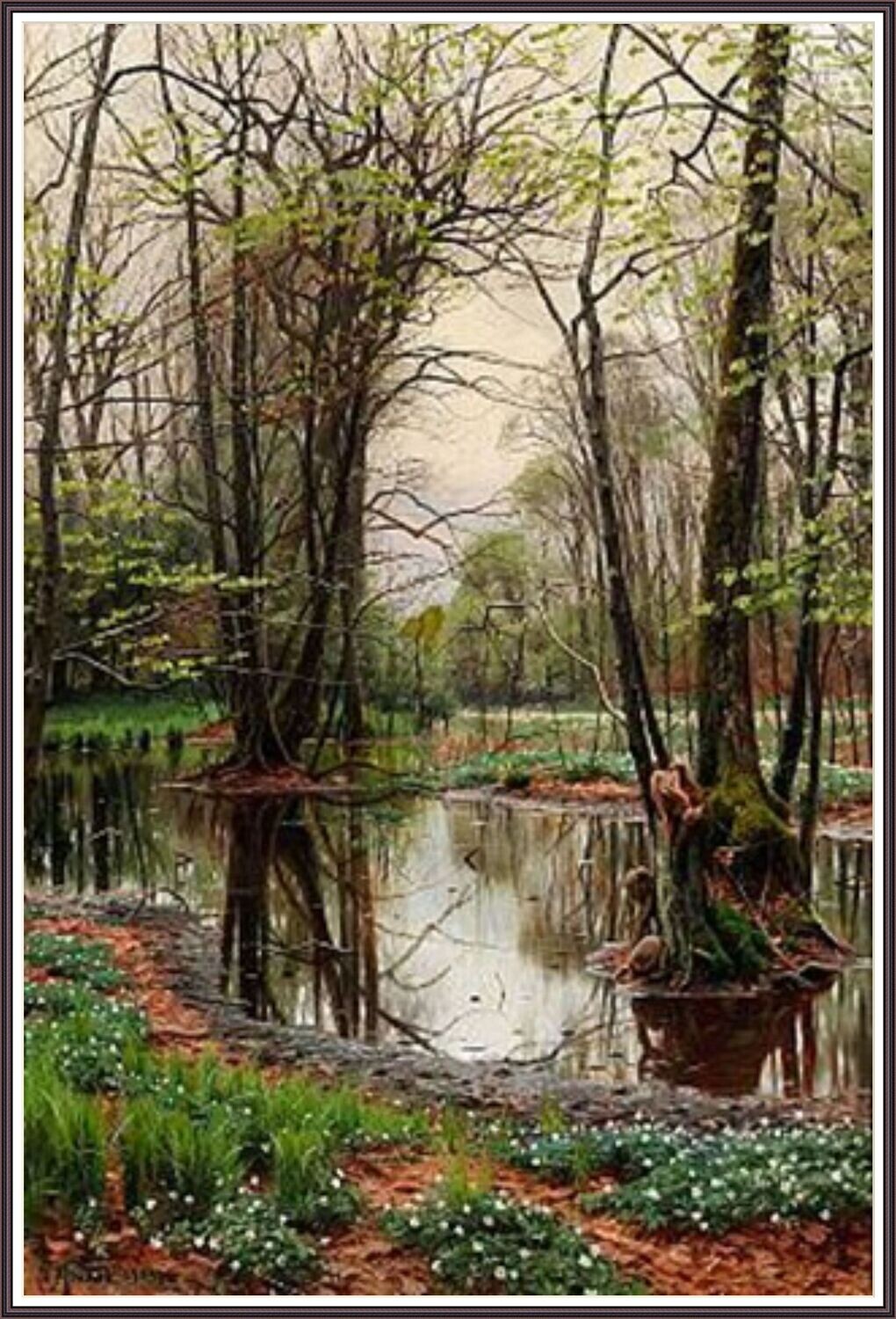 Spring Day in the Forest
