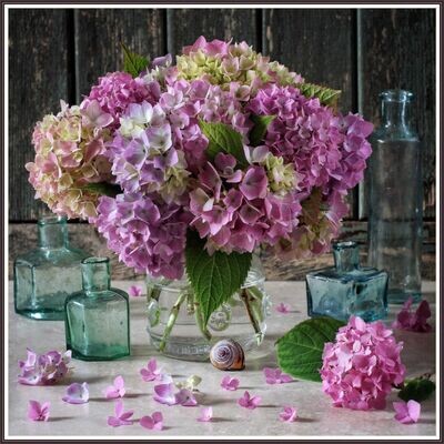 Bouquet of Hydrangea