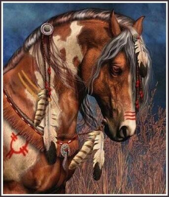 Indian Horse