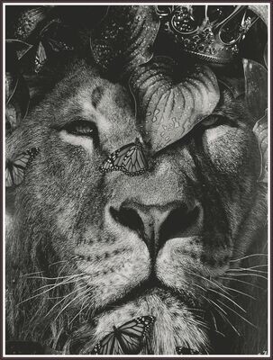 Jungle Lion