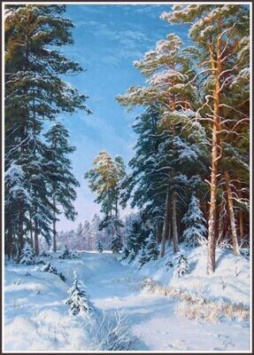 Trees in the snow