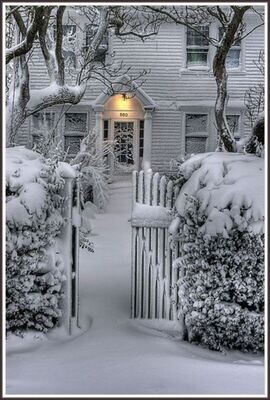 Midwinter-dream