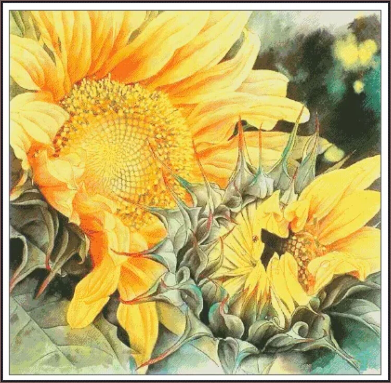 Sunflower