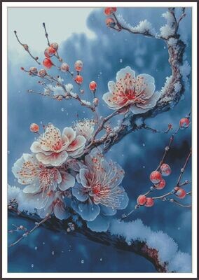Snow on white plums