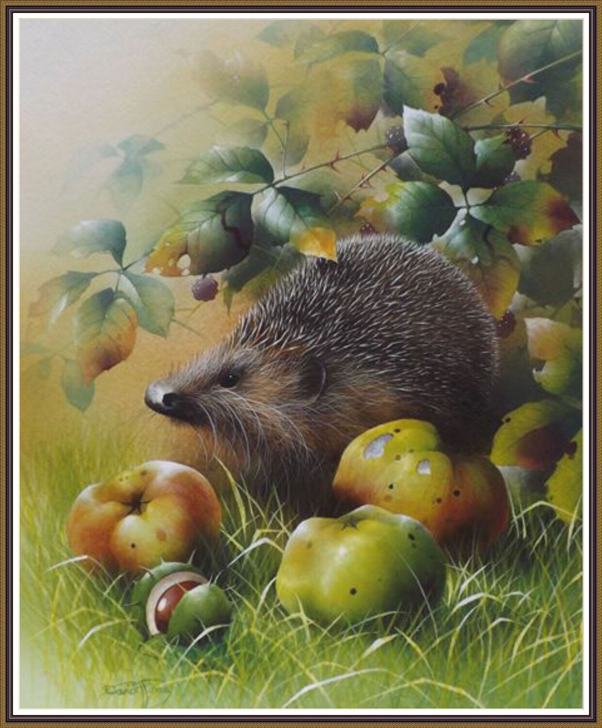 Hedgehog and harvesting