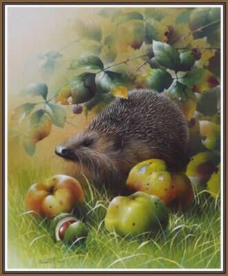 Hedgehog and harvesting