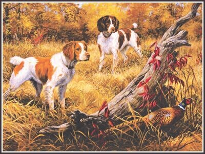 Brittany Spaniels