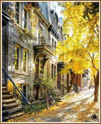 Autumn in the streets of Montreal