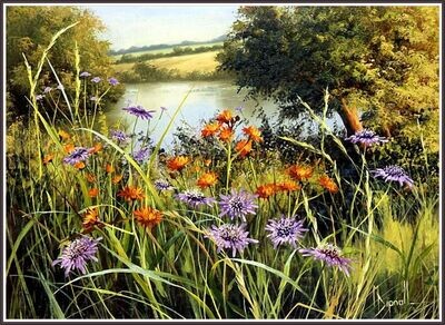 Evening sun