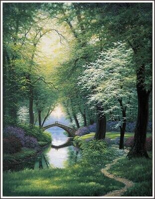 Natures Harmony