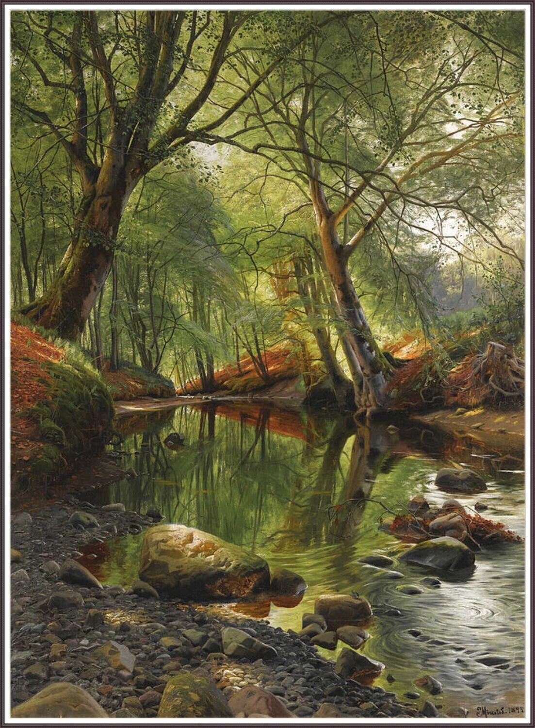 A woodland stream