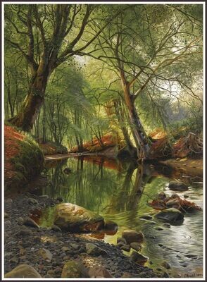 A woodland stream