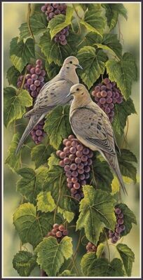 Mourning Doves