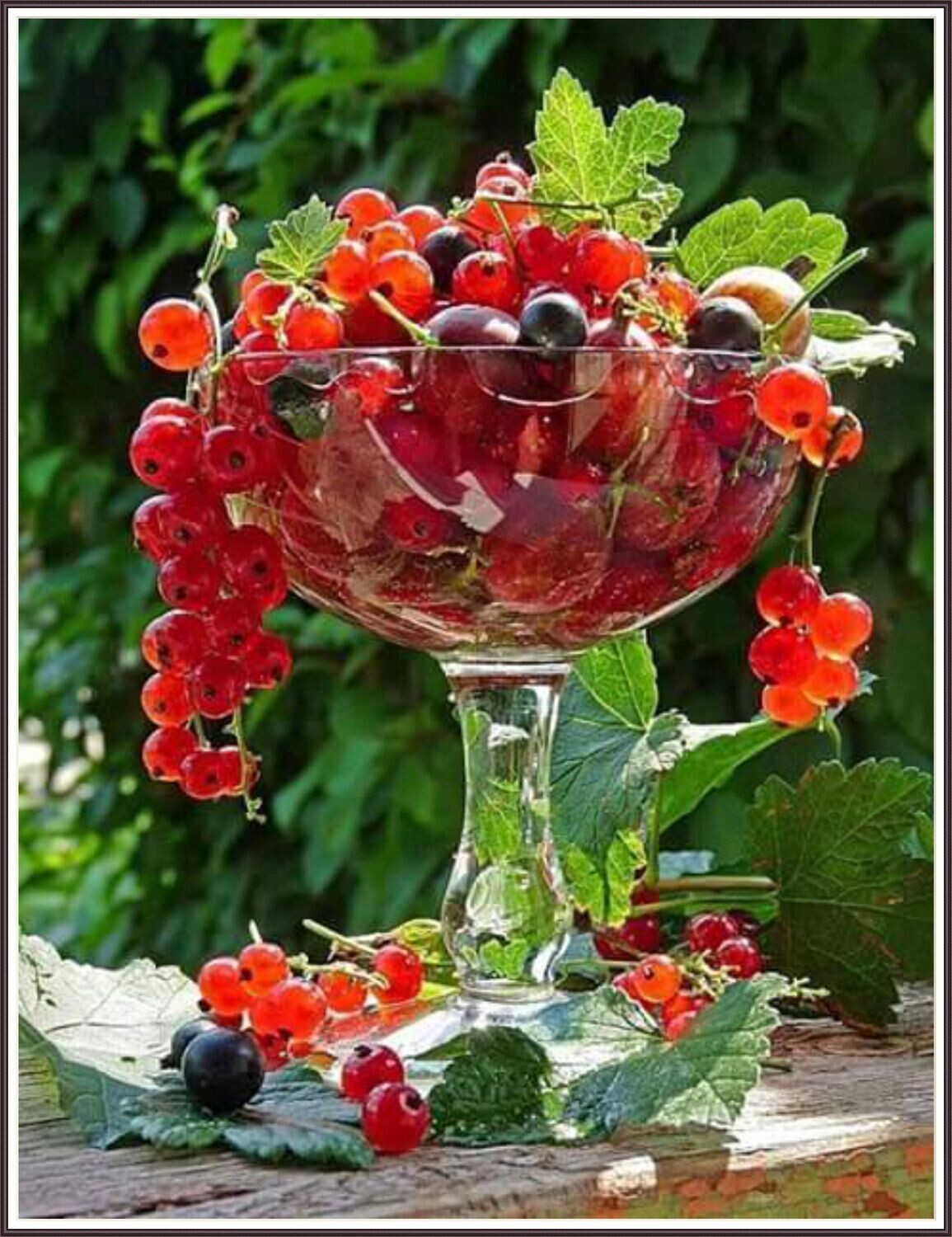 Taste of Summer