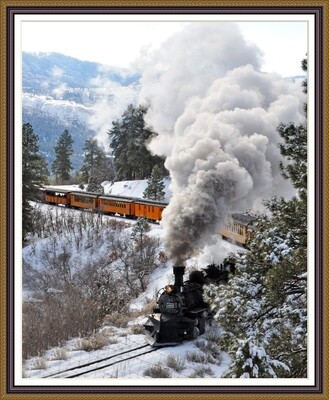 Durango Train