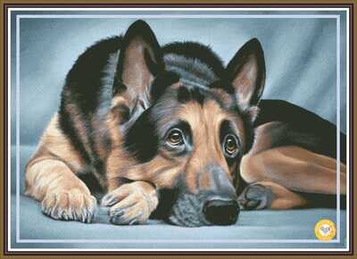 German Shepherd