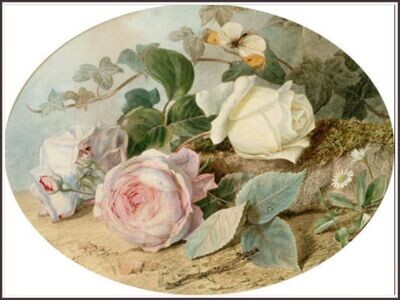 Summer Fragance