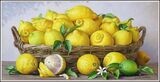 Bowl of lemons