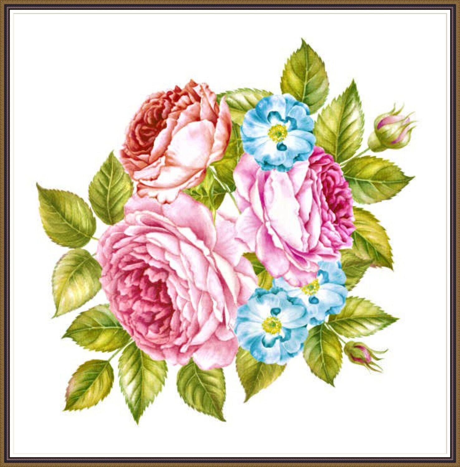 Roses