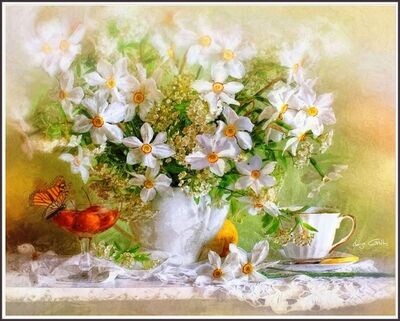 White daffodils in a vase